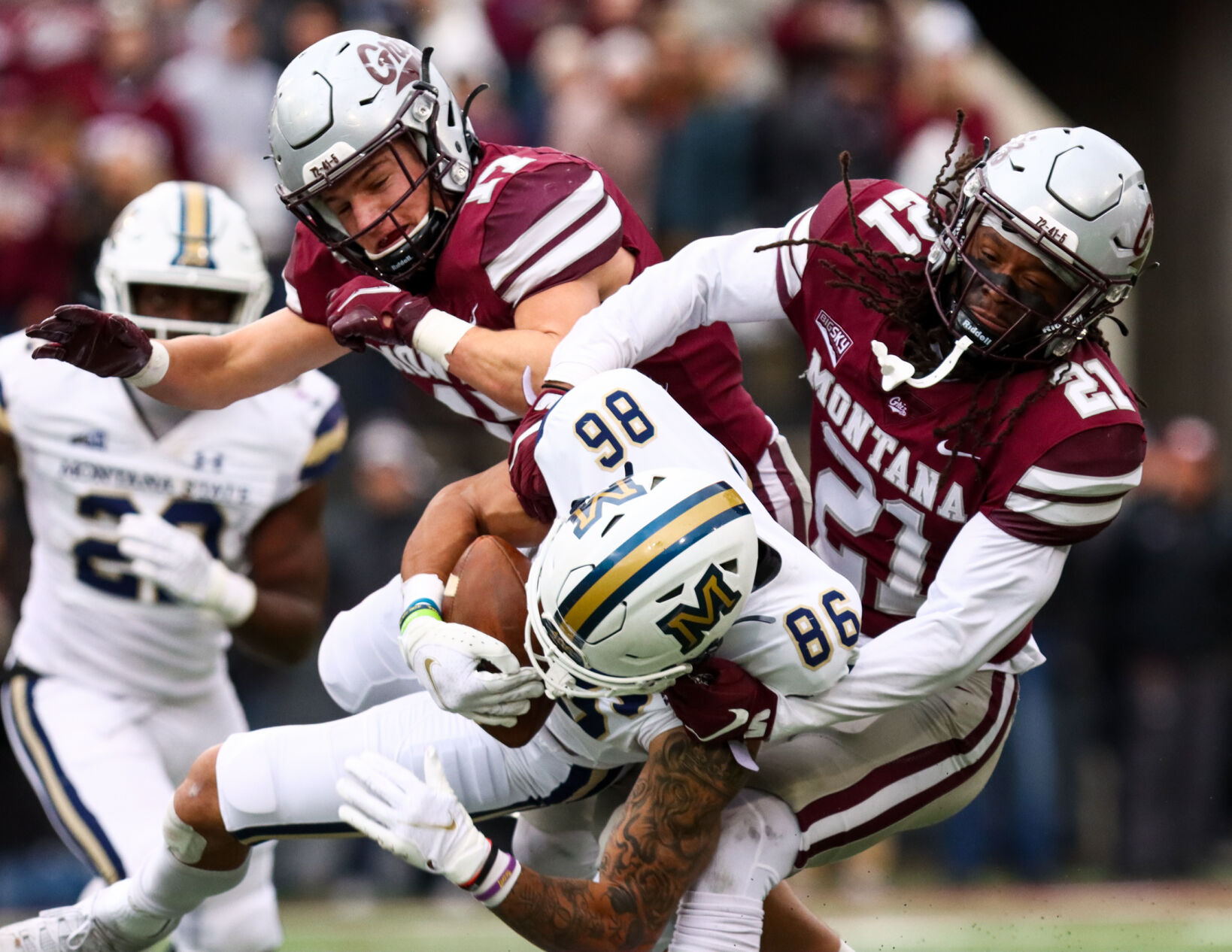 ibarra_cat-griz18 (gallery)